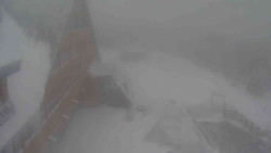 Parkoviště a hlavní vchod