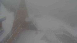 Parkoviště a hlavní vchod