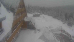 Parkoviště a hlavní vchod