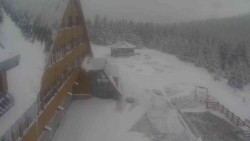 Parkoviště a hlavní vchod