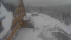 Parkoviště a hlavní vchod