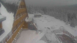 Parkoviště a hlavní vchod