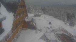 Parkoviště a hlavní vchod