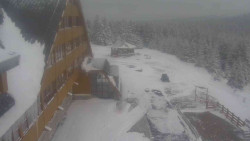 Parkoviště a hlavní vchod