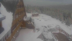 Parkoviště a hlavní vchod