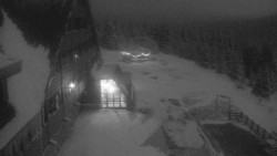 Parkoviště a hlavní vchod