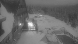 Parkoviště a hlavní vchod