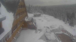 Parkoviště a hlavní vchod