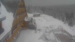 Parkoviště a hlavní vchod