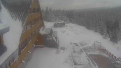 Parkoviště a hlavní vchod