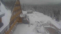 Parkoviště a hlavní vchod