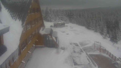 Parkoviště a hlavní vchod