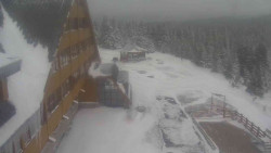 Parkoviště a hlavní vchod