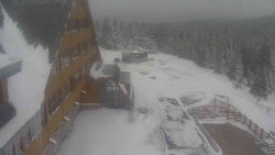 Parkoviště a hlavní vchod