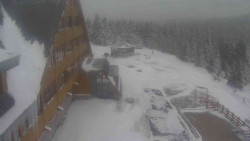 Parkoviště a hlavní vchod