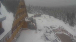 Parkoviště a hlavní vchod