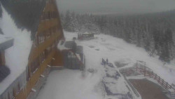 Parkoviště a hlavní vchod