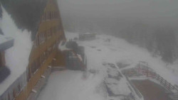 Parkoviště a hlavní vchod