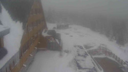 Parkoviště a hlavní vchod