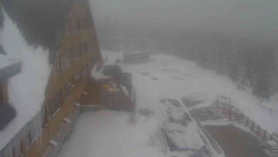 Parkoviště a hlavní vchod