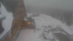 Parkoviště a hlavní vchod