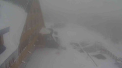 Parkoviště a hlavní vchod