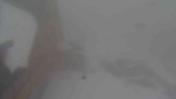 Parkoviště a hlavní vchod