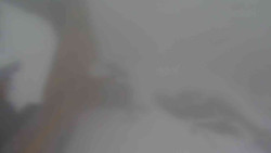 Parkoviště a hlavní vchod