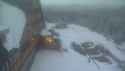 Parkoviště a hlavní vchod