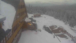 Parkoviště a hlavní vchod