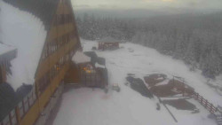 Parkoviště a hlavní vchod