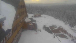 Parkoviště a hlavní vchod