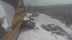 Parkoviště a hlavní vchod