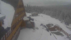 Parkoviště a hlavní vchod