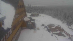 Parkoviště a hlavní vchod