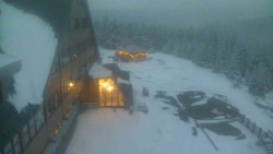 Parkoviště a hlavní vchod