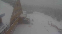 Parkoviště a hlavní vchod