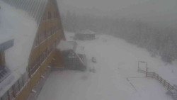 Parkoviště a hlavní vchod