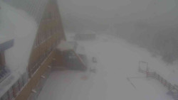 Parkoviště a hlavní vchod