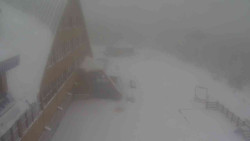 Parkoviště a hlavní vchod