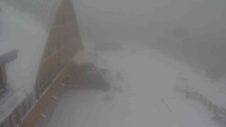 Parkoviště a hlavní vchod