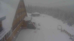 Parkoviště a hlavní vchod