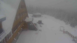 Parkoviště a hlavní vchod