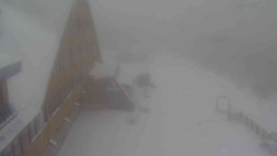 Parkoviště a hlavní vchod