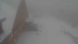 Parkoviště a hlavní vchod