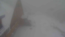 Parkoviště a hlavní vchod