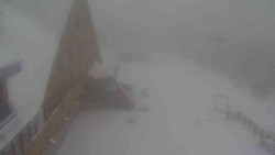 Parkoviště a hlavní vchod