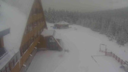 Parkoviště a hlavní vchod