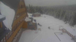 Parkoviště a hlavní vchod