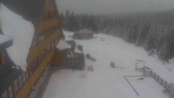 Parkoviště a hlavní vchod